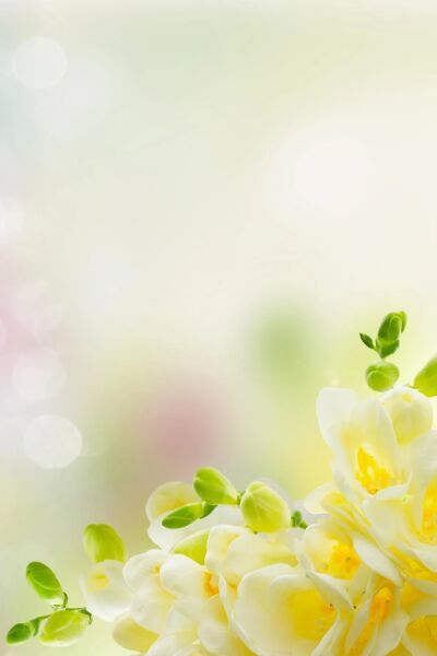 AURAN Soft Linen Çubuklu Oda Kokusu 50 ml